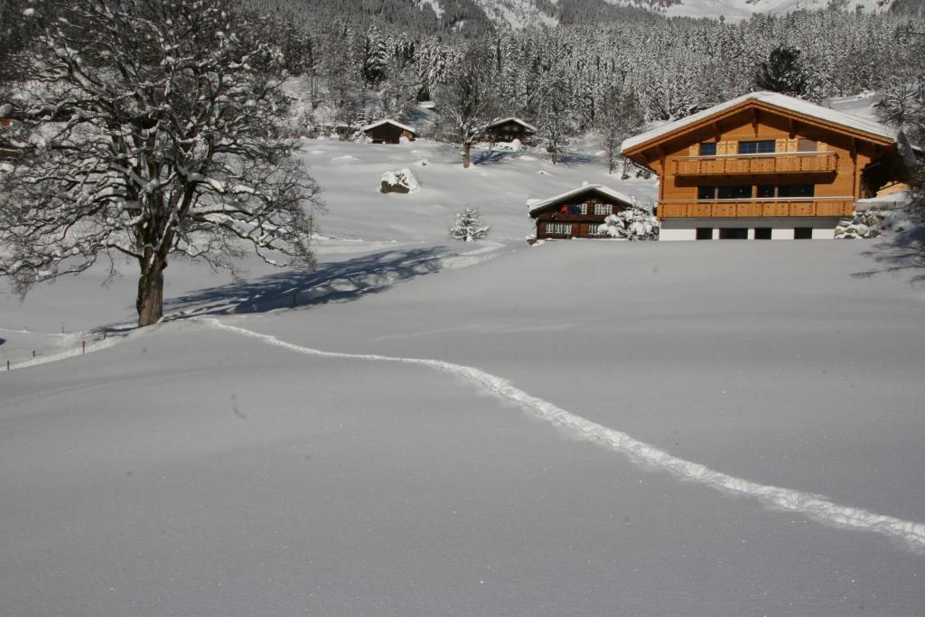 Chalet Baergbaechli Grindelwald Exterior foto