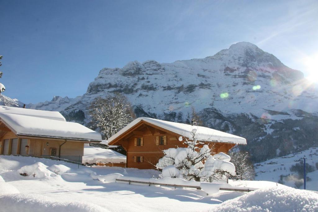 Chalet Baergbaechli Grindelwald Exterior foto