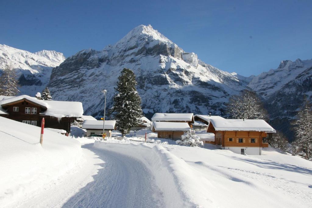 Chalet Baergbaechli Grindelwald Exterior foto